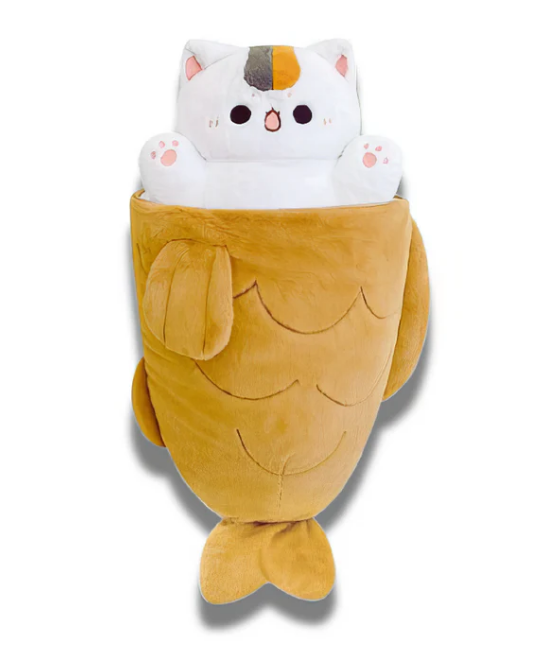 Snuggie Kitty