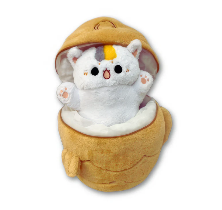 Snuggie Kitty